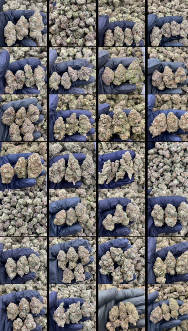 CHEAP WEED