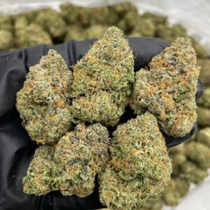 mega z blue indoor weed strain