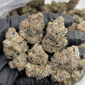 Wagyu Dumplings indoors weed strain