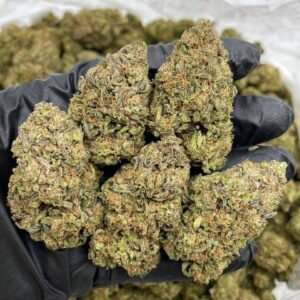 animal cookies strain