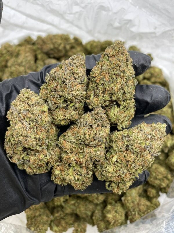 animal cookies strain