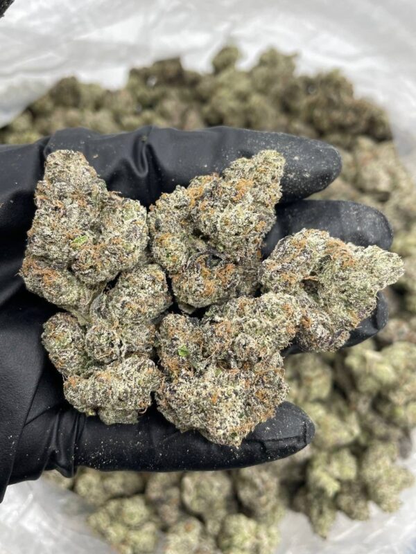 lemonheadz candy strain