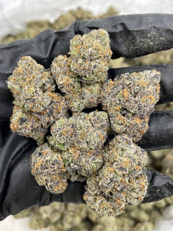 Cherry Himalaya strain