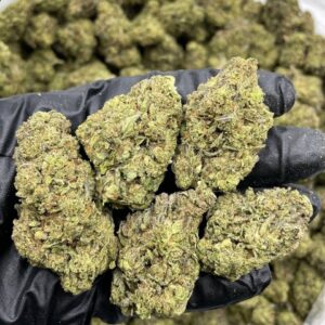 Grape Gas strain