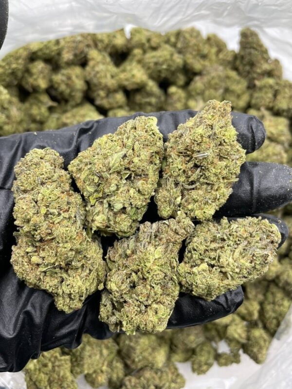 Grape Gas strain