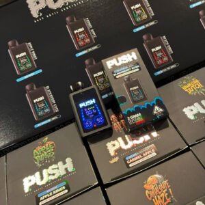 PUSH 2-Gram Disposable Vape with Digital Screen