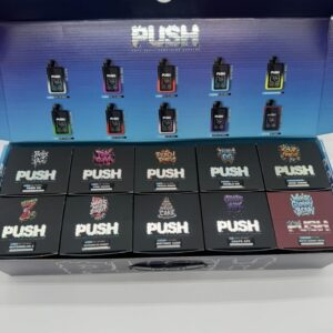 PUSH V2 Summer 2G Disposable